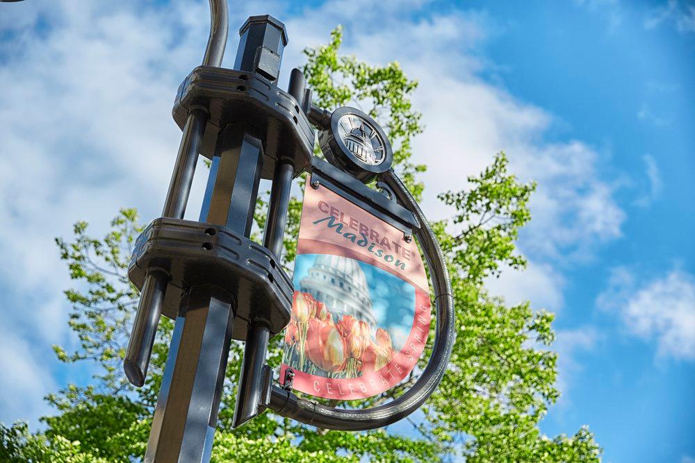 A street sign reading Celebrate Madison.