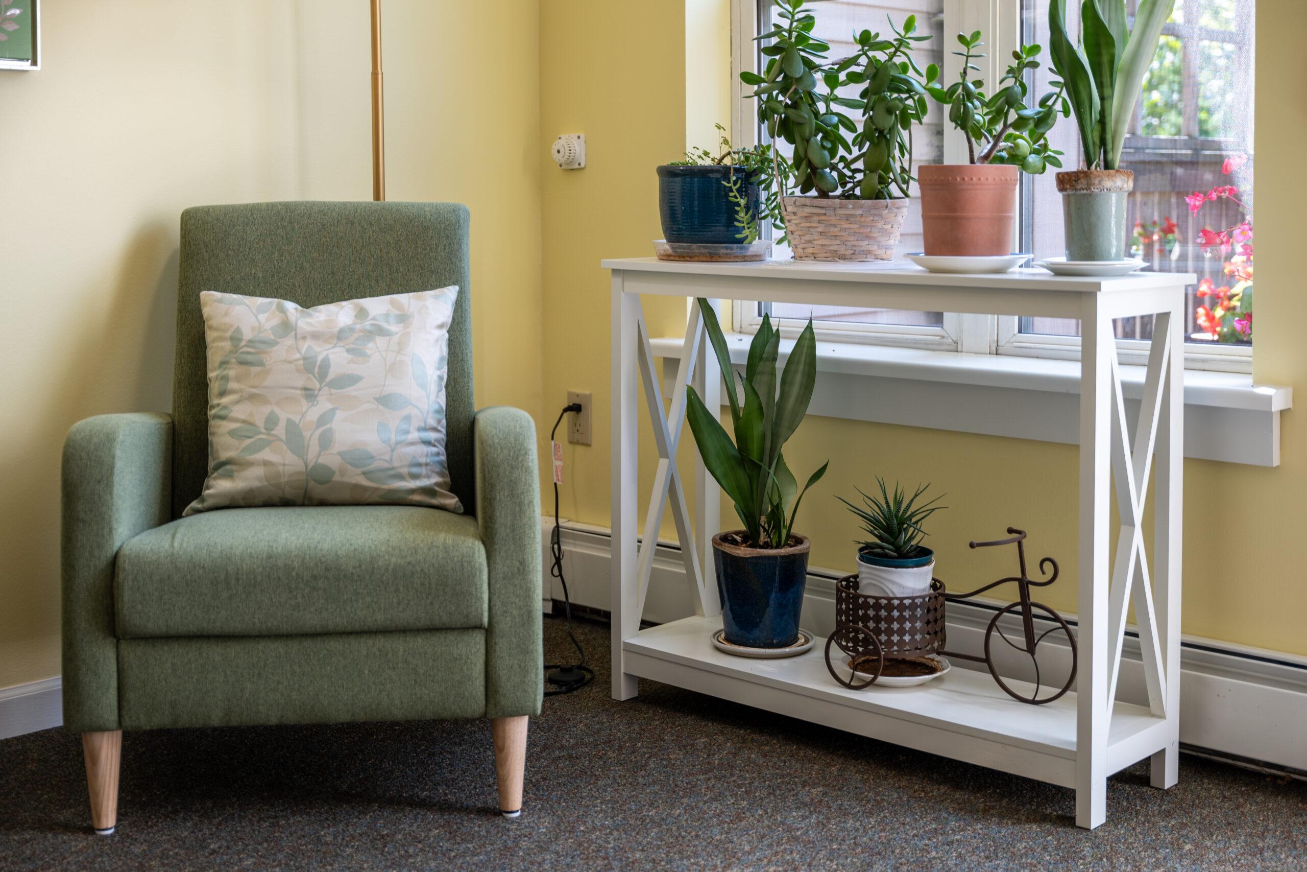 Close-up photo of a chair and a shelf of plants.