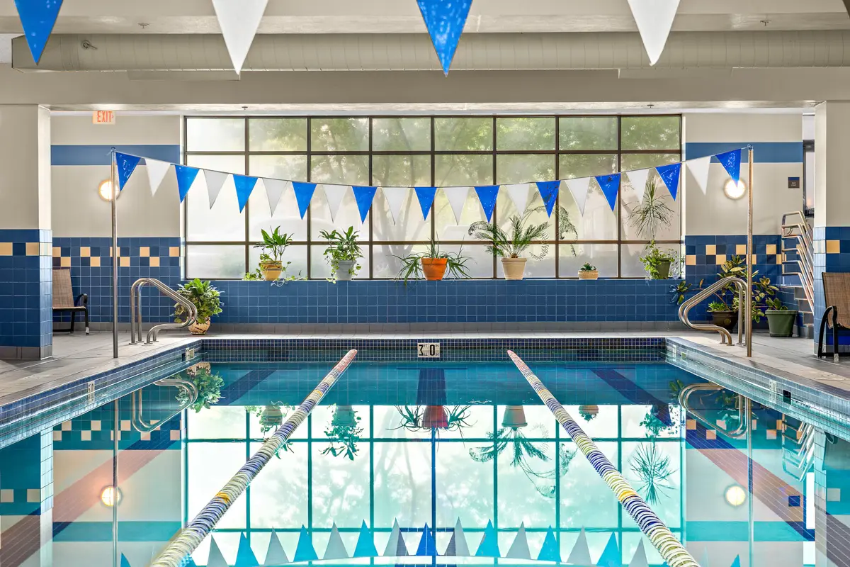 A well-lit pool with potted plants in the area.