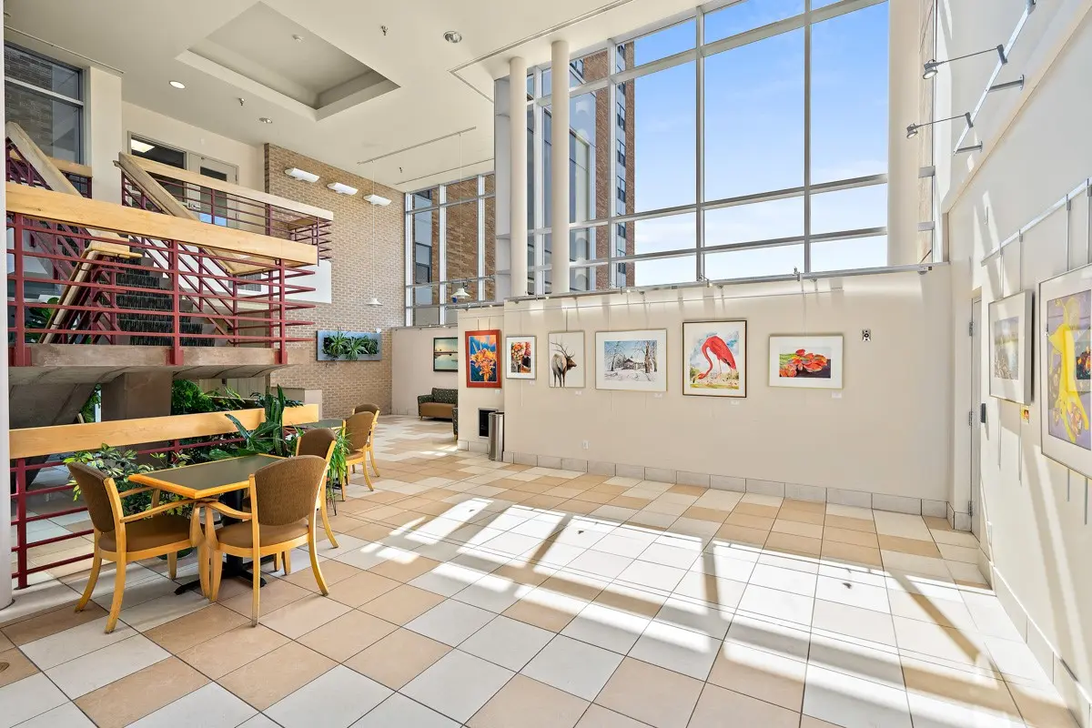 An art gallery in Capitol Lakes with lots of colors and large windows.